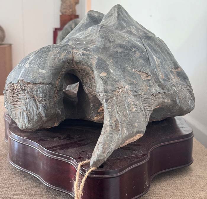 1755855048956184.jpg 梵净山4.jpg