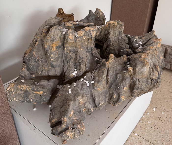 1756002850477212.jpg 莲花圣境2.jpg