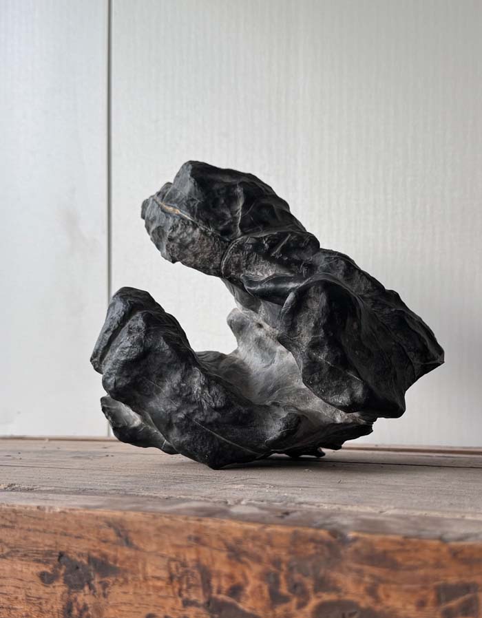 1756260022524603.jpg 拙石2.jpg