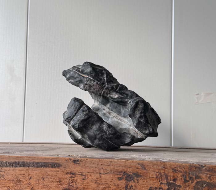 1756260025961624.jpg 拙石3.jpg