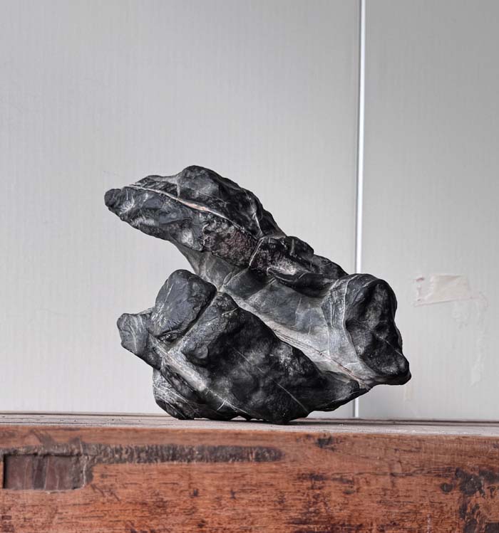 1756260028559555.jpg 拙石4.jpg