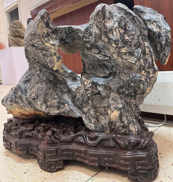 1756366321538109.jpg 龙盘虎踞4.jpg