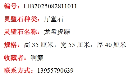 1756366332796545.png 龙盘虎踞尺寸大小.png