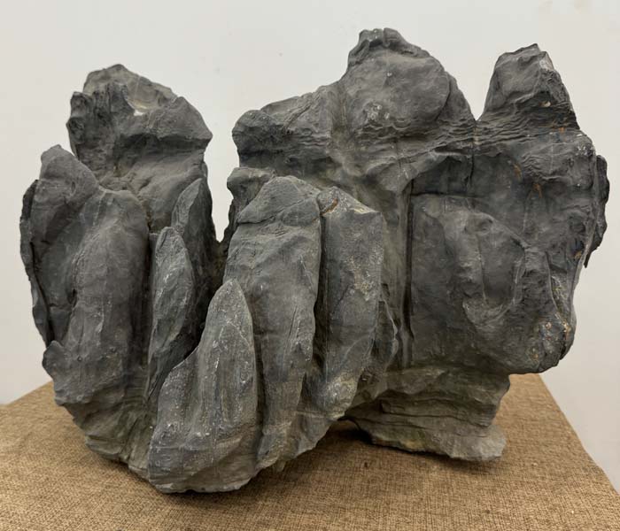 1757580623398177.jpg 莲花瓣2.jpg