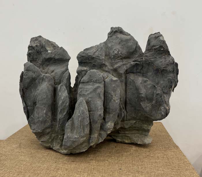 1757580628376245.jpg 莲花瓣3.jpg